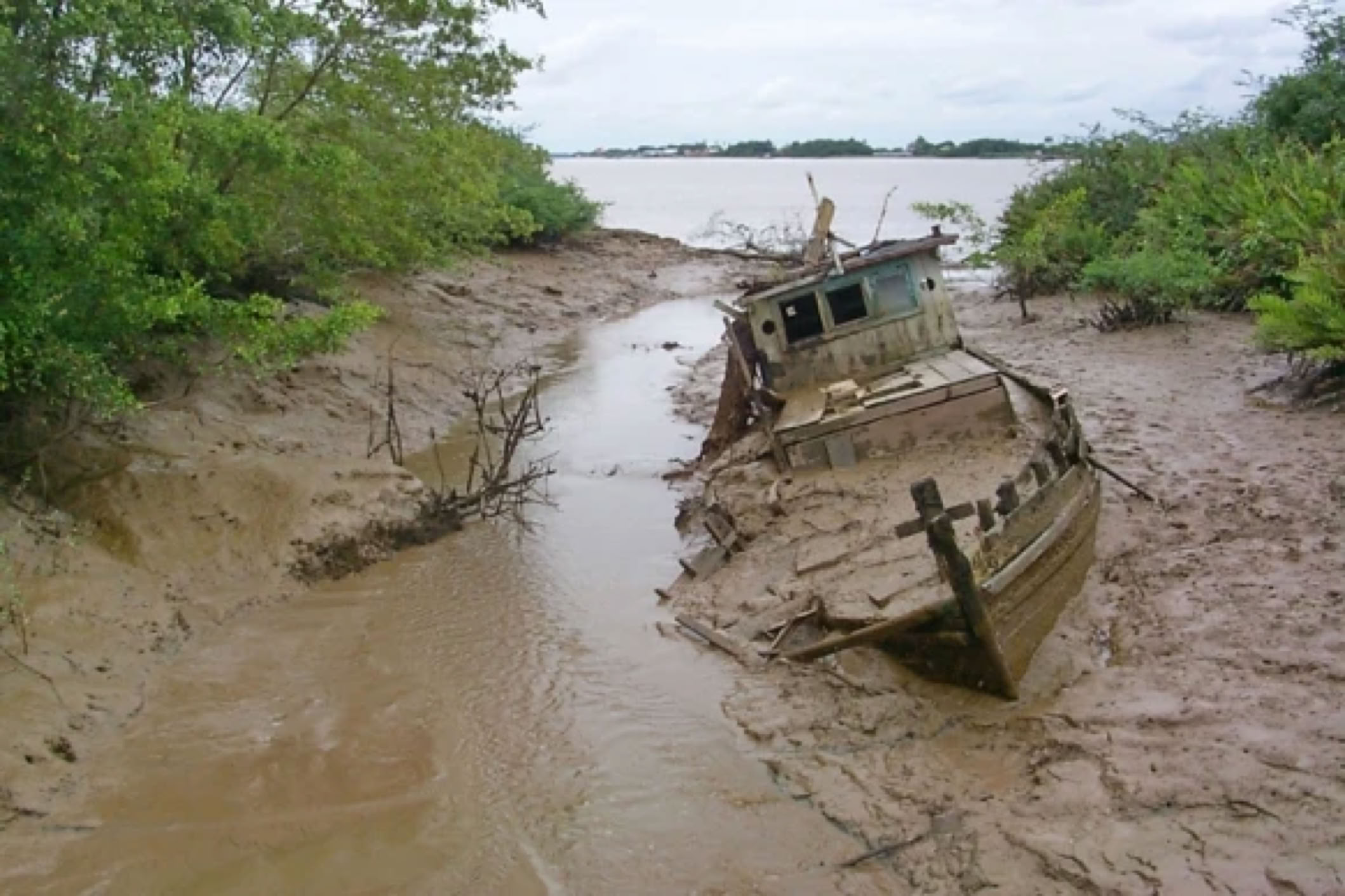 Abandoned, partially submerged boat in muddy water surrounded by green vegetation.