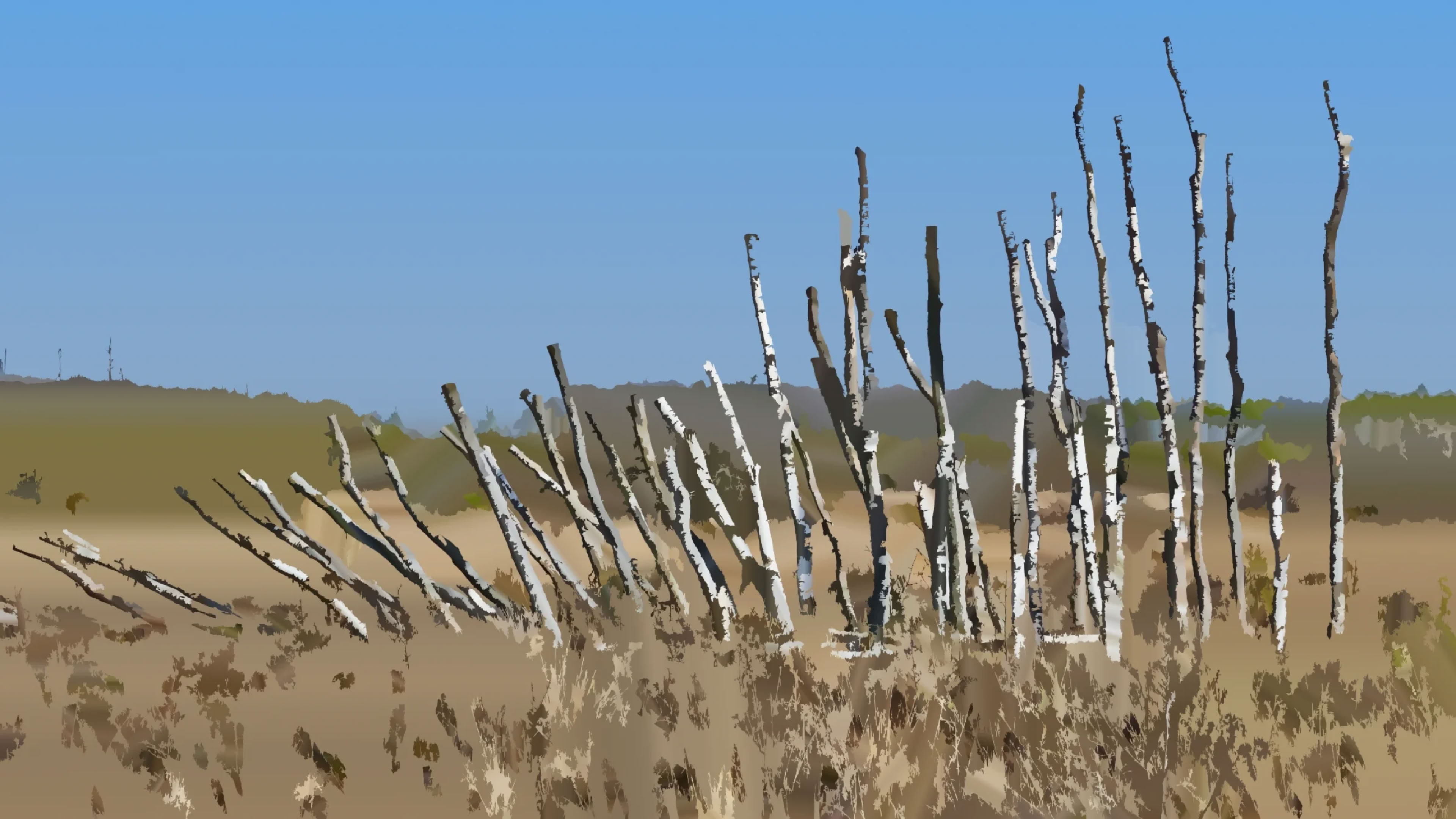 Dry landscape with tall, thin, bare tree trunks against a clear blue sky.