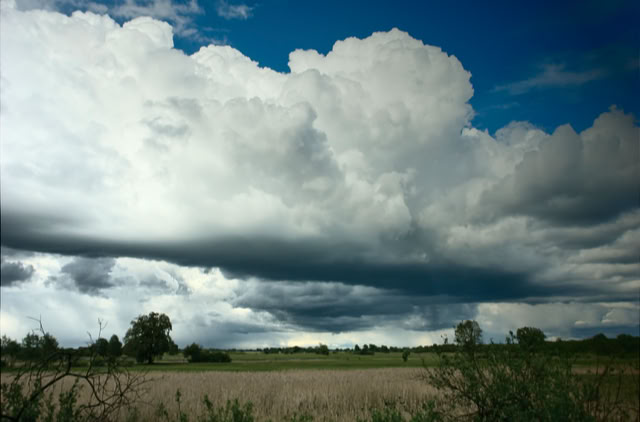 A landscape with a field in the foreground, scattered trees, and large, dramatic clouds in the sky.