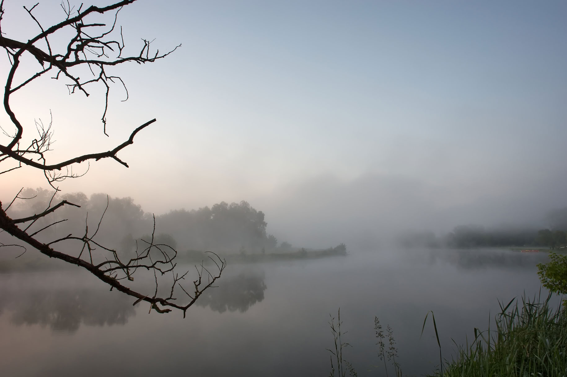 Foggy lake scene with a bare tree branch in the foreground, calm water, and mist-covered trees in the background.