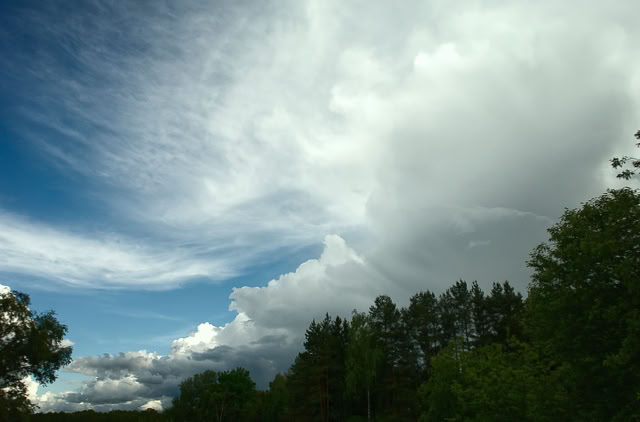 A landscape with a partly cloudy sky, featuring large white clouds and patches of blue, above a line of trees.