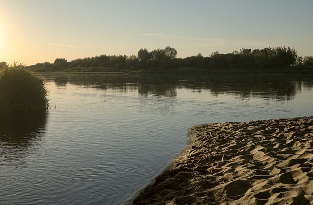 A sandy riverbank with calm water reflecting the sky, surrounded by trees in the background under a clear sky.