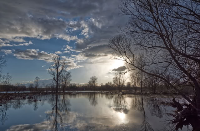 A serene landscape with a reflective body of water, bare trees, and a cloudy sky with the sun partially visible.