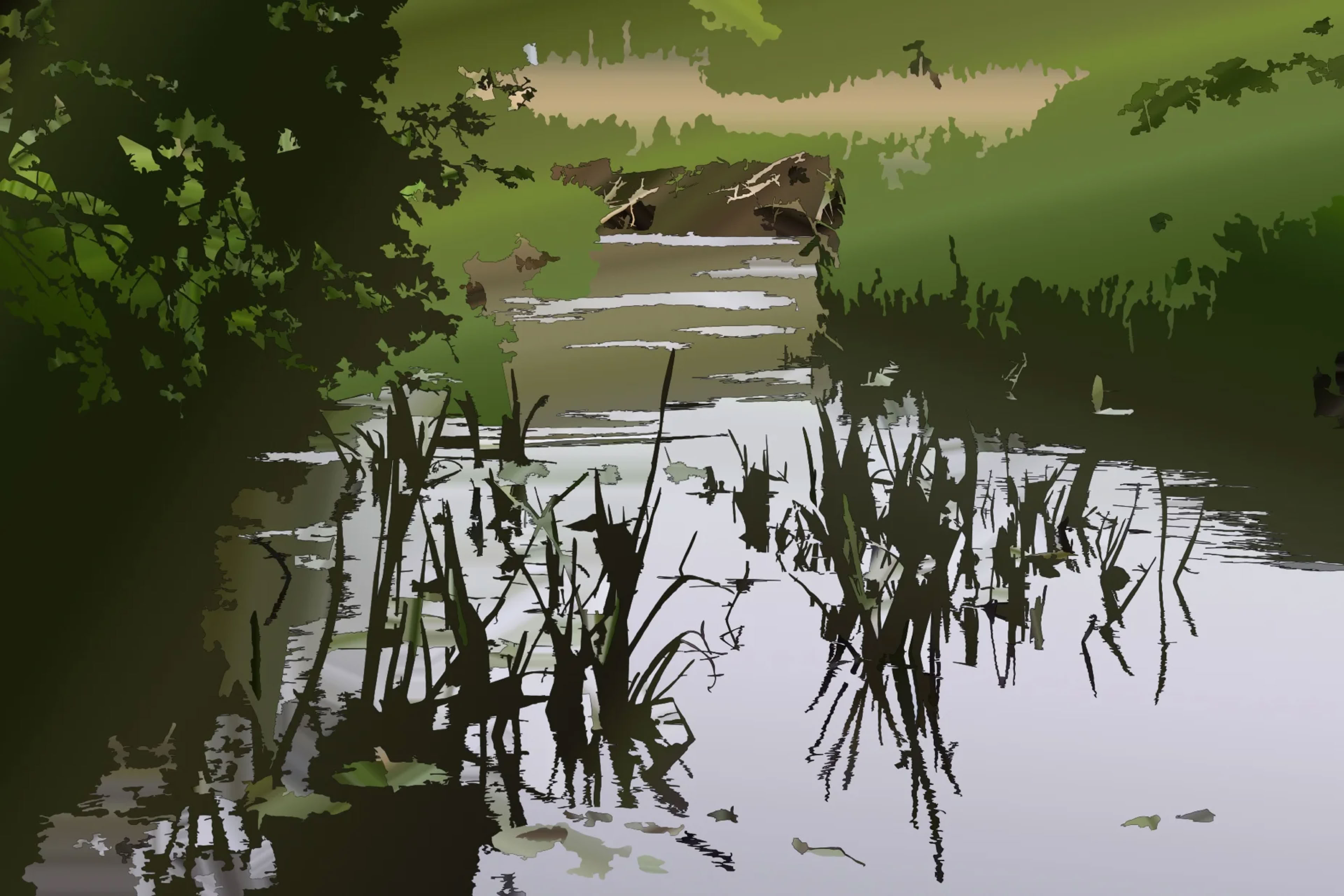 A serene pond with tall grasses and plants growing in the water, surrounded by lush greenery.