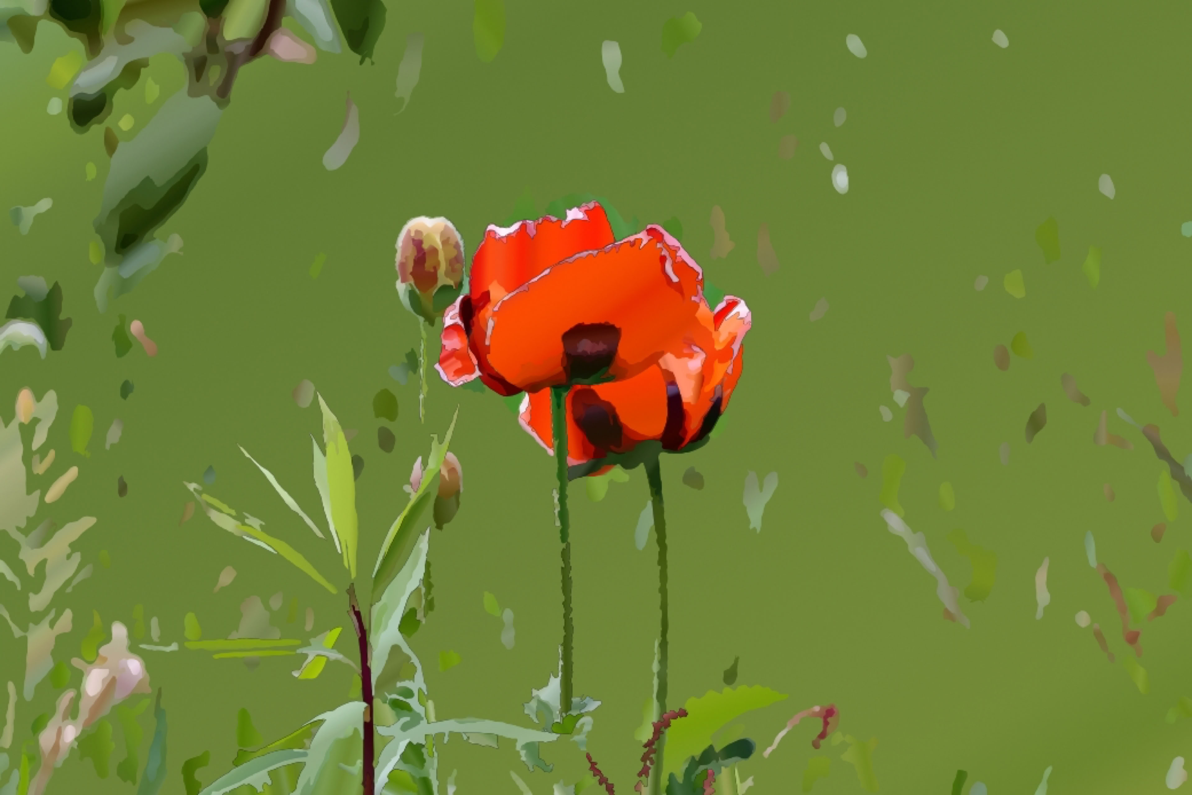A red poppy flower with green leaves and stems against a blurred green background.