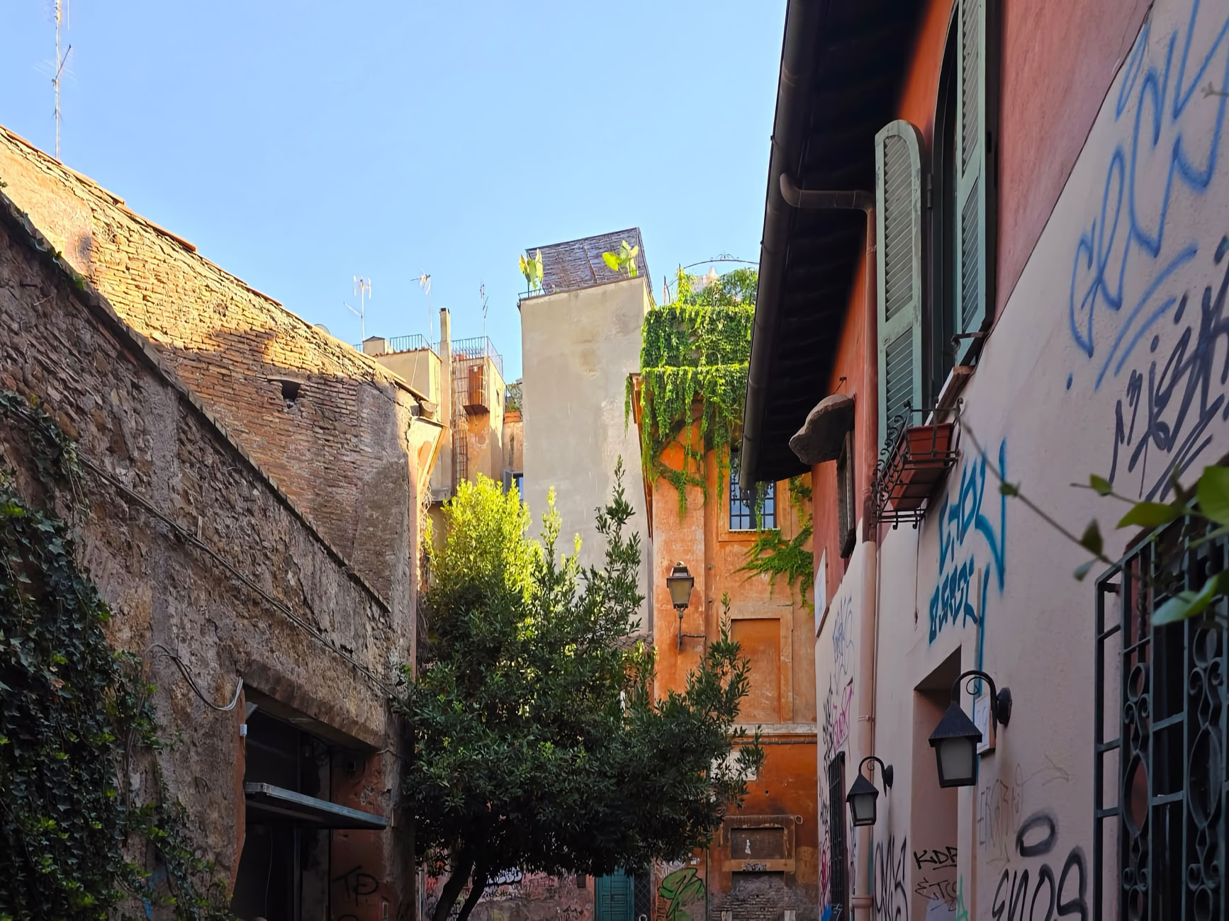 Narrow alleyway with graffiti-covered walls, buildings with shutters, and greenery on rooftops under a clear blue sky.