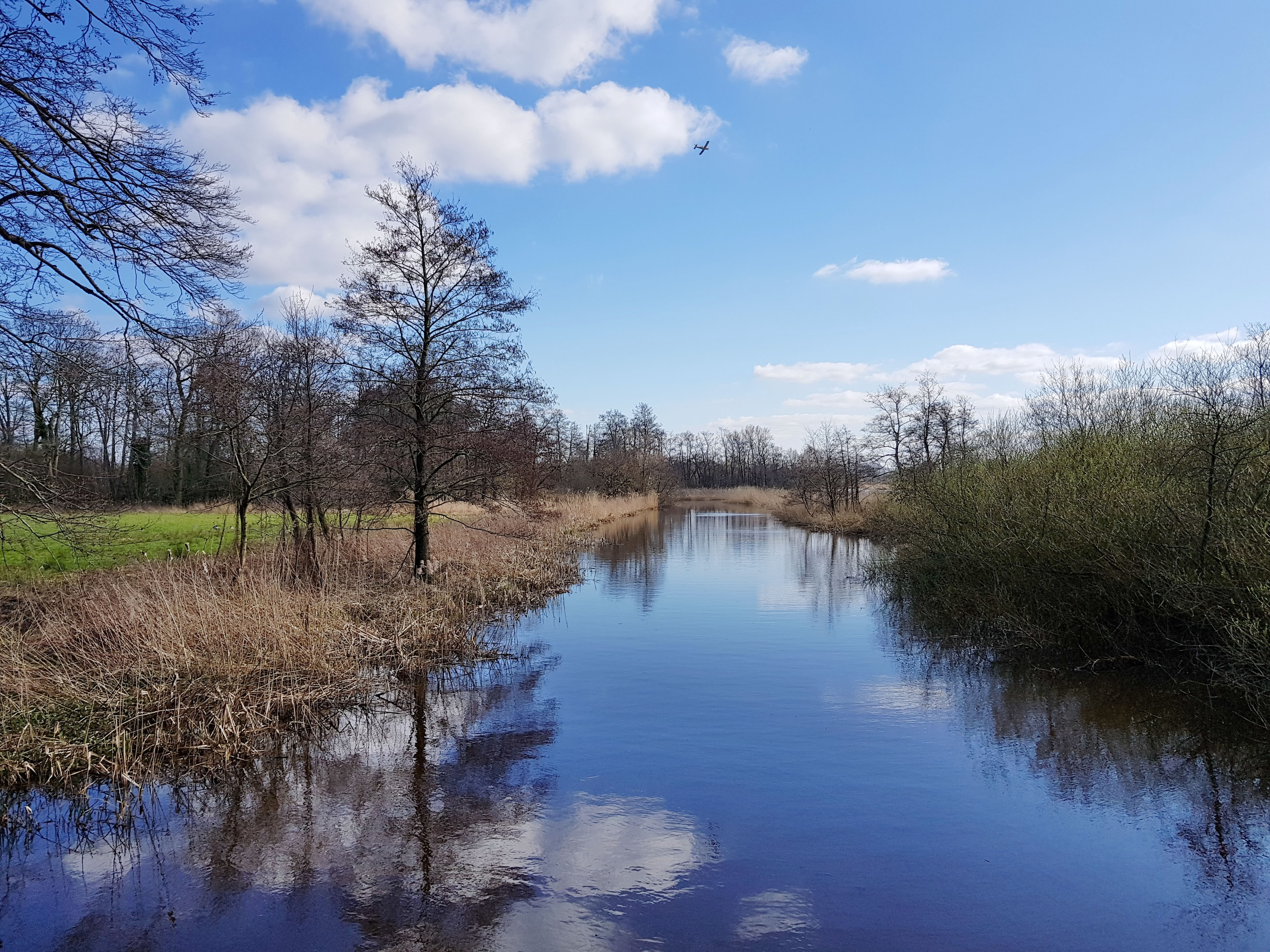 A serene river scene with calm water reflecting the blue sky and clouds, surrounded by trees and grassy banks under a clear sky with airplane.