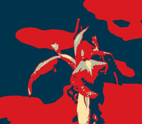 A close-up of a purple iris flower with green leaves in the blurred background. Graphic variant.