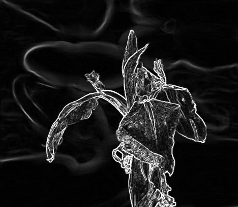 A close-up of a purple iris flower with green leaves in the blurred background. Graphic variant.