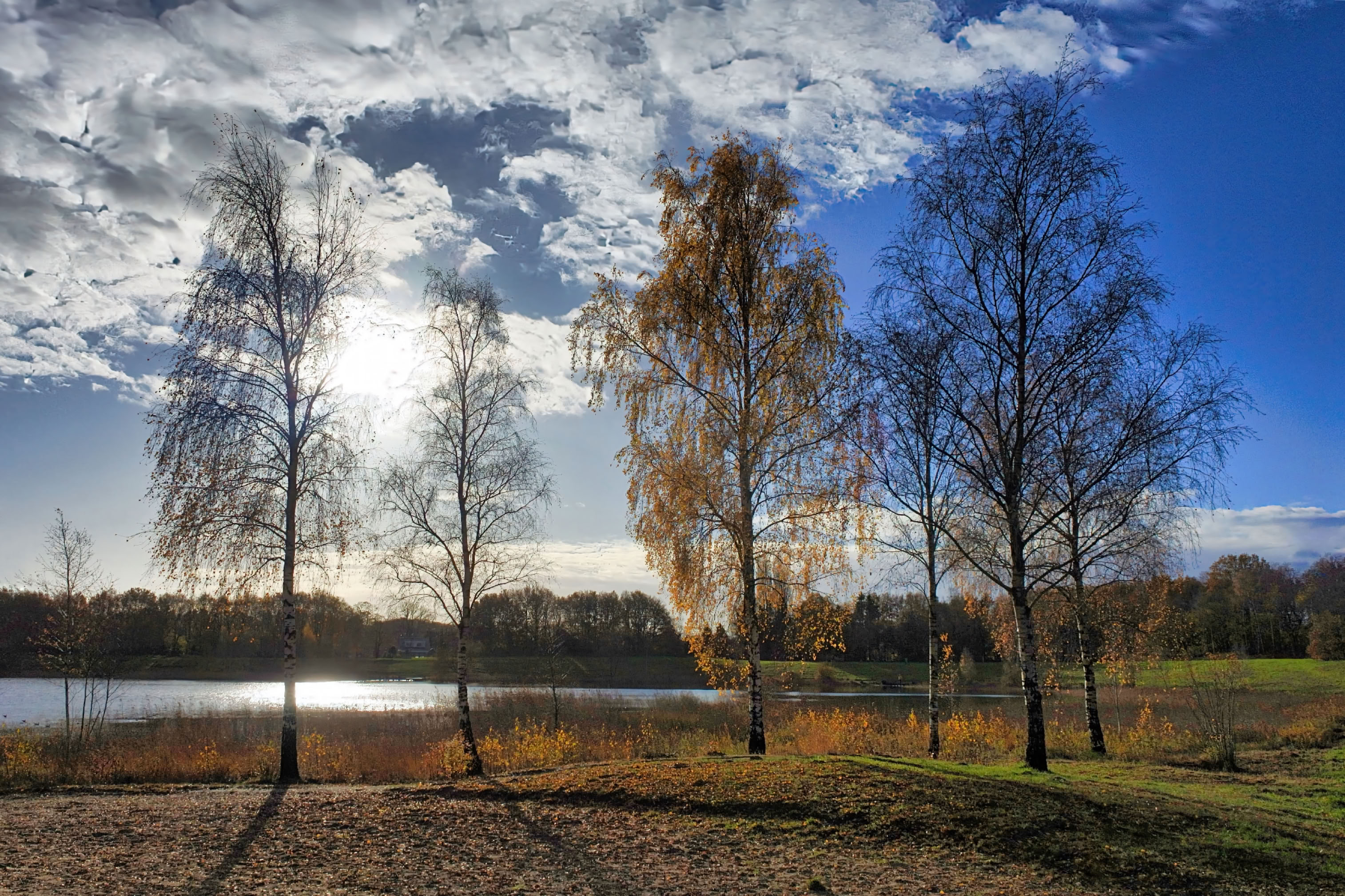 Trees with autumn foliage by a lake under a partly cloudy sky with sunlight.