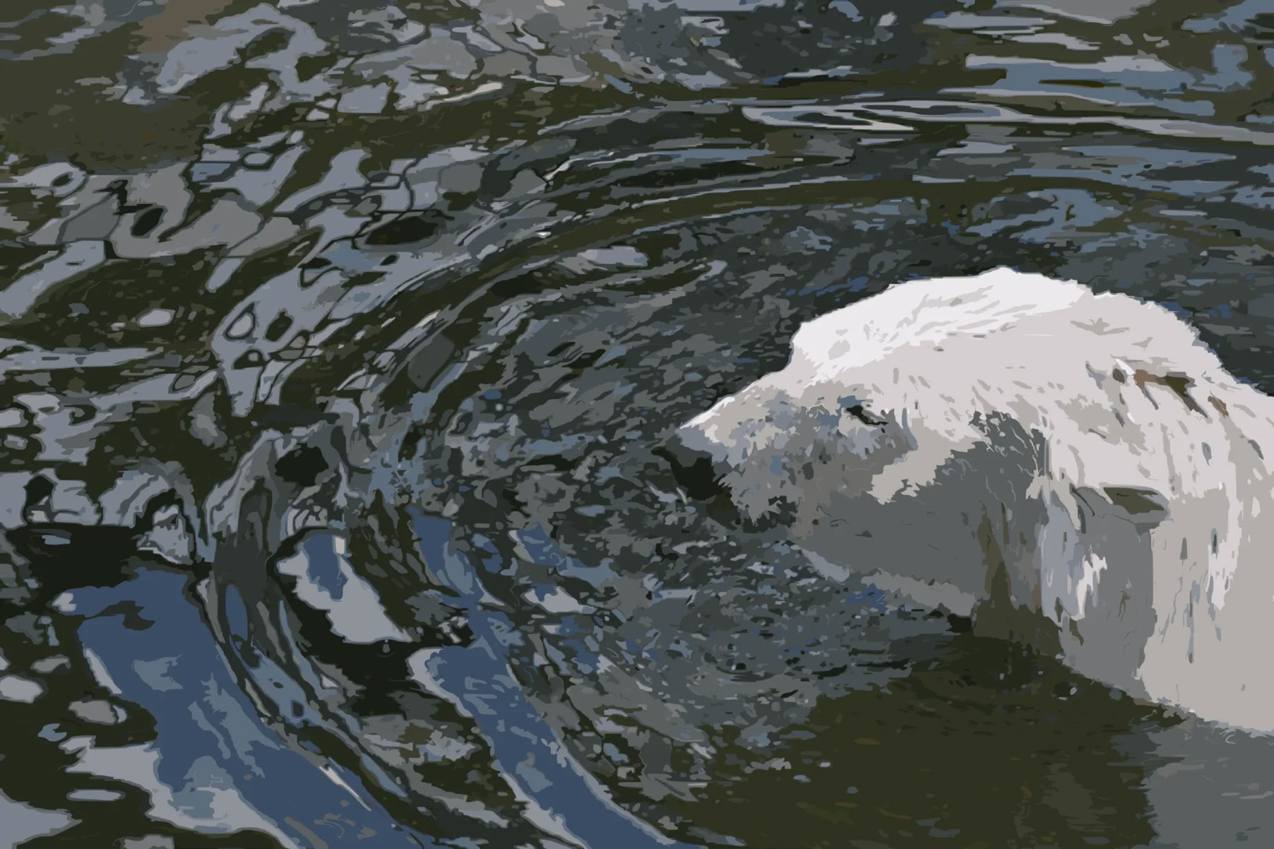 A polar bear swimming in dark water with ripples around it.