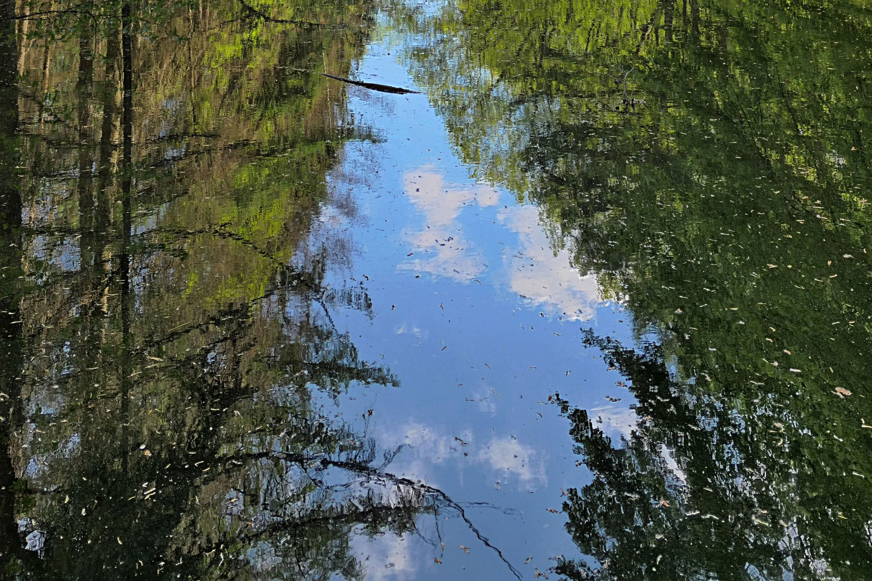 Reflection of trees and clouds on a calm body of water.