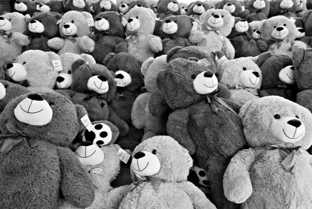 A large group of teddy bears in various shades of gray, arranged closely together.