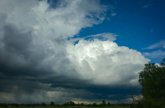 Large, dramatic clouds in a blue sky over a landscape with trees.