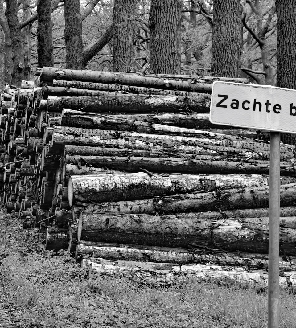 Stack of cut logs beside a road with a sign reading "Zachte berm" in front of trees.