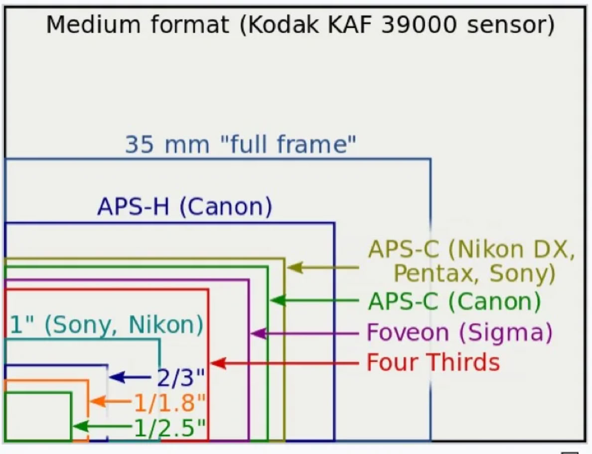Diagram showing various camera sensor sizes, including medium format, 35mm full frame, APS-H, APS-C, 1-inch, Foveon, Four Thirds, and smaller formats, with labels indicating brands like Canon, Nikon, Sony, Pentax, and Sigma.